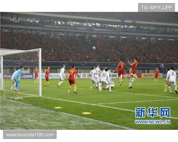 杭州排球队在世界杯预选赛中的战术分析与表现评估